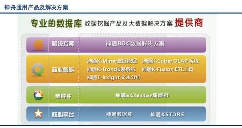 國內外市場上數據庫系統的主要產品及其功能概覽